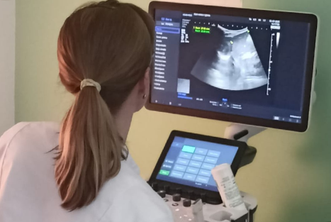 Ультразвуковая диагностика (УЗИ)